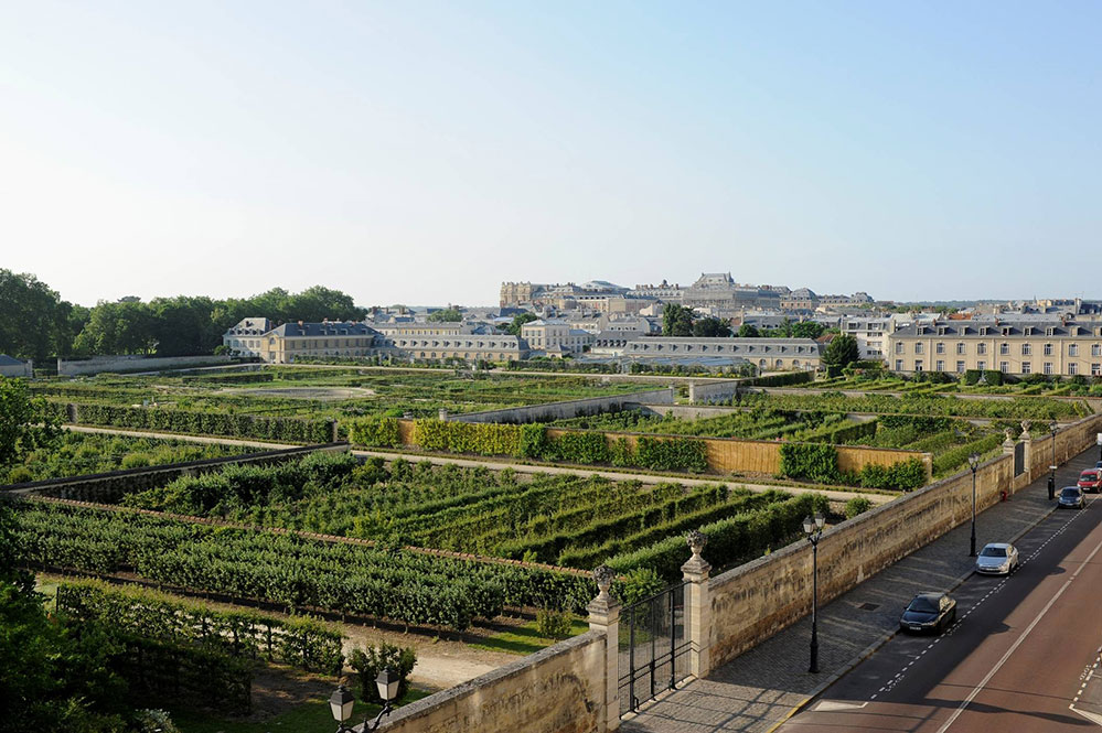 The Potager du Roi, Versailles, France (Credit: Sylvain Duffard (ESNP))